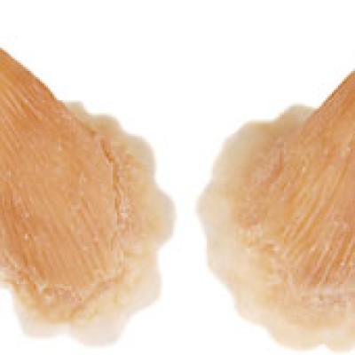 Grimas Latex Pair Of Horns