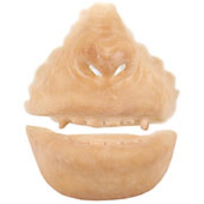 Grimas Latex Monkey Set