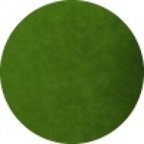Superstar Face Paint 45g 042 Grass Green (45g 042 Grass Green)