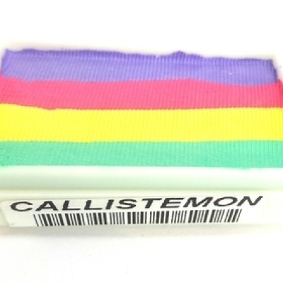 Face Paints Australia One Stroke Callistemon