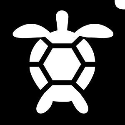 Glitter tattoo US06 Turtle Bling Pack of 5 (US06 Turtle Bling Pack of 5)