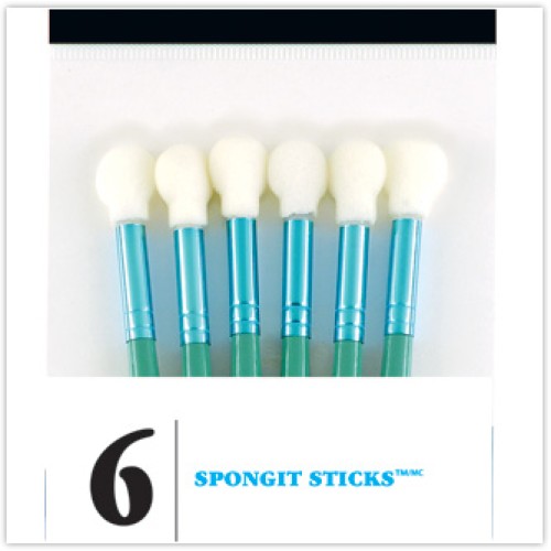 Loew Cornell Spongeit Sticks (Loew Cornell Spongeit Sticks)