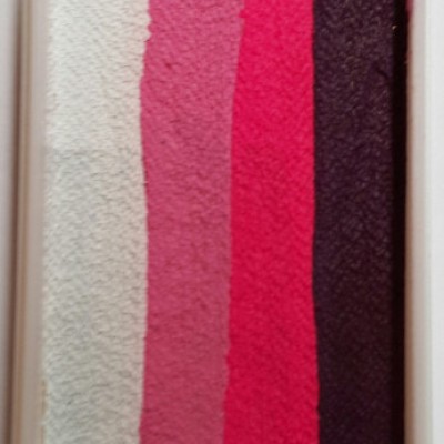 Face Paints Australia One Stroke Protea