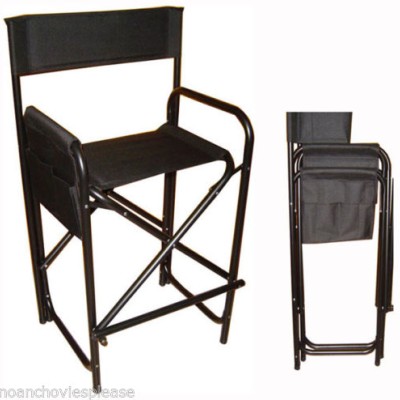 Face Painters Directors Chair